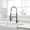 Modern Single-Hole Matte Black with Gold Pull Down Kitchen Faucet