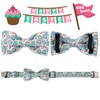 Babole Pet Easter Dog Collar with Bowtie, Easter Eggs Bowtie