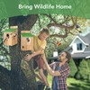 2 Pack Bird Houses for Outside - Cedar Bluebird Houses