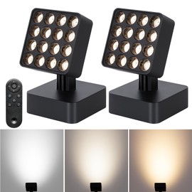 12V Indoor Spotlight, 16LED 3-Color Adjustable Lighting 12W Spotlight Suitable for Dark Corners Remote Control spotlights, Living Rooms, Sofas, Indoor Plants, Walls, Artworks (Black, 2pack)