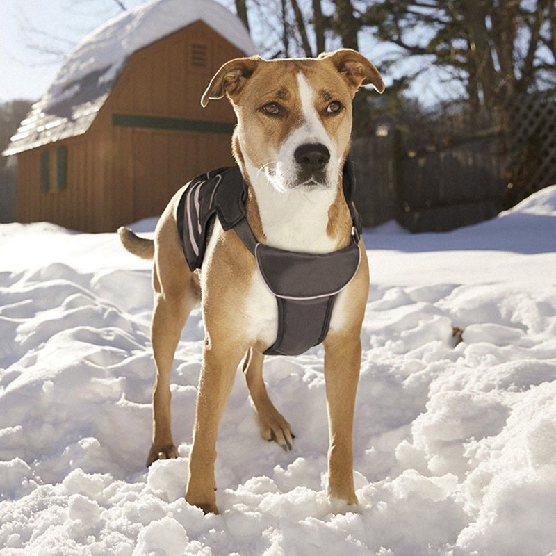 Dog Rain Jacket Lightweight Adjustable Waterproof Pet Poncho with Reflective