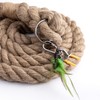 2" x 9.84Ft Cat Climbing Rope with Hook for Ceiling