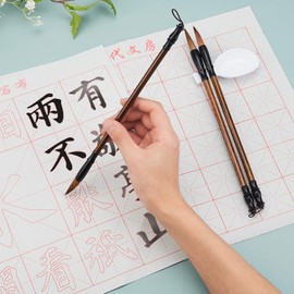 PH PandaHall 12pcs No Ink Chinese Calligraphy Set, 8 Styles Grid Brush Water Writing Cloth Paper, 3pcs Sienna Chinese Traditional Calligraphy Brushes and Water Dish for Chinese Couplets 17x13 inch