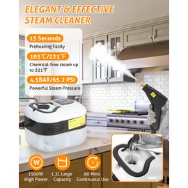 WICHEMI Steam Cleaner Handheld High Pressure Steam Cleaner Car Steamer for Cleaning Portable Steam Cleaner 1500W Electric Steam Cleaning Machine for Home Kitchen Auto Detailing (White)