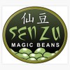 Leyland Designs Magic Beans Bumper Sticker Window Water Bottle Decal