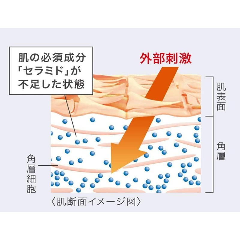 Kao Curel Moisturizing Face Cream, 1.4 oz (40 g) x