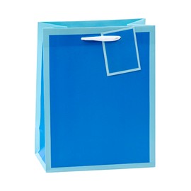 TSI Geschenktüten TRENDFARBEN mit Rahmen, 12er Packung, Größe: Mittel (HxBxT 23 x 18 x 10 cm), Art.Nr. 86015