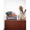 Tanaka Industry Face Towel, Biotone, Imabari Towel, Approx. 13.4 x