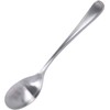 Takagi TAKAGI Antibacterial Stainless Steel Large Tea Spoon, Set of