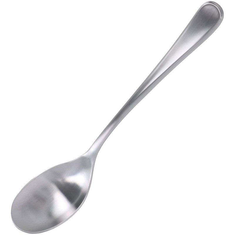 Takagi TAKAGI Antibacterial Stainless Steel Large Tea Spoon, Set of