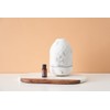 doTERRA Clary Sage Essential Oil - 15 ml