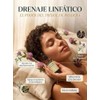 Mayaverra Drenaje Linfático, Mayaverra Gotas Drenaje Linfático-Gotas Naturales，2 Bottle