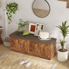 DINZI LVJ Shoe Bench, Entryway Storage Bench with Doors, Cushion,