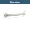 Franklin Brass (1-Pack) 24' Shower Grab Bar ADA Compliant Stainless