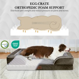 Comfort Expression Jumbo Breed Dog Bed, Large Dog Bed for Extra Large Dogs, Waterproof Orthopedic Dogs Beds, PV Washable Sofa Beds with Removable Cover & Non-Slip Bottom(Jumbo,Dark Green)