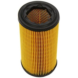 Fram CA8748 Air Filter