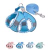 Petank Dog Harness for Small Medium Dogs No Pull, Puppy