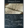 Prof Line Genuine Diamond Python Key Holder, Large Tag, Flat