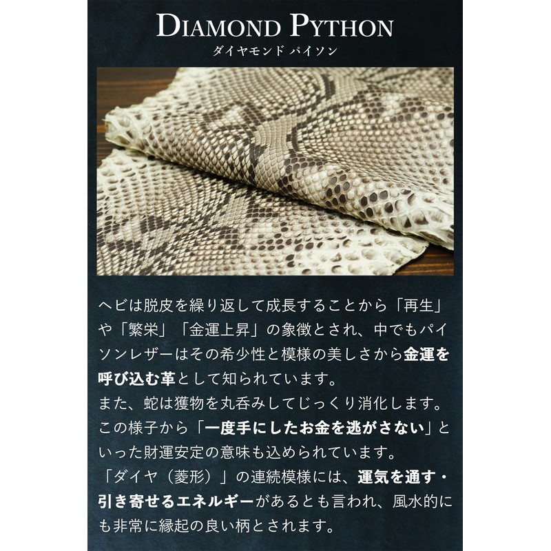Prof Line Genuine Diamond Python Key Holder, Large Tag, Flat