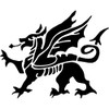 A4 'Welsh Dragon' Wall Stencil/Template (WS00012907)