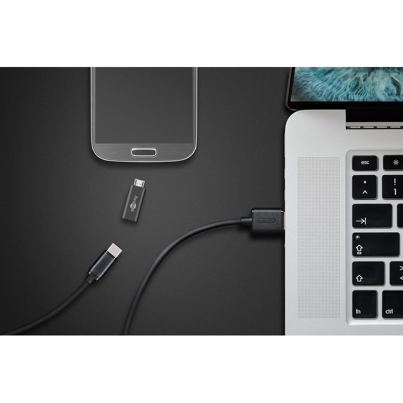 Goobay 55553 USB 2.0 Hi-Speed Adapter, USB-C Buchse auf USB