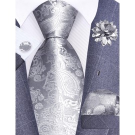 Gusleson Light Grey Tie for Men Paisley Wedding Silver Necktie Pocket Square Cufflinks and Lapel Pin Brooch Set (UK6105-13)