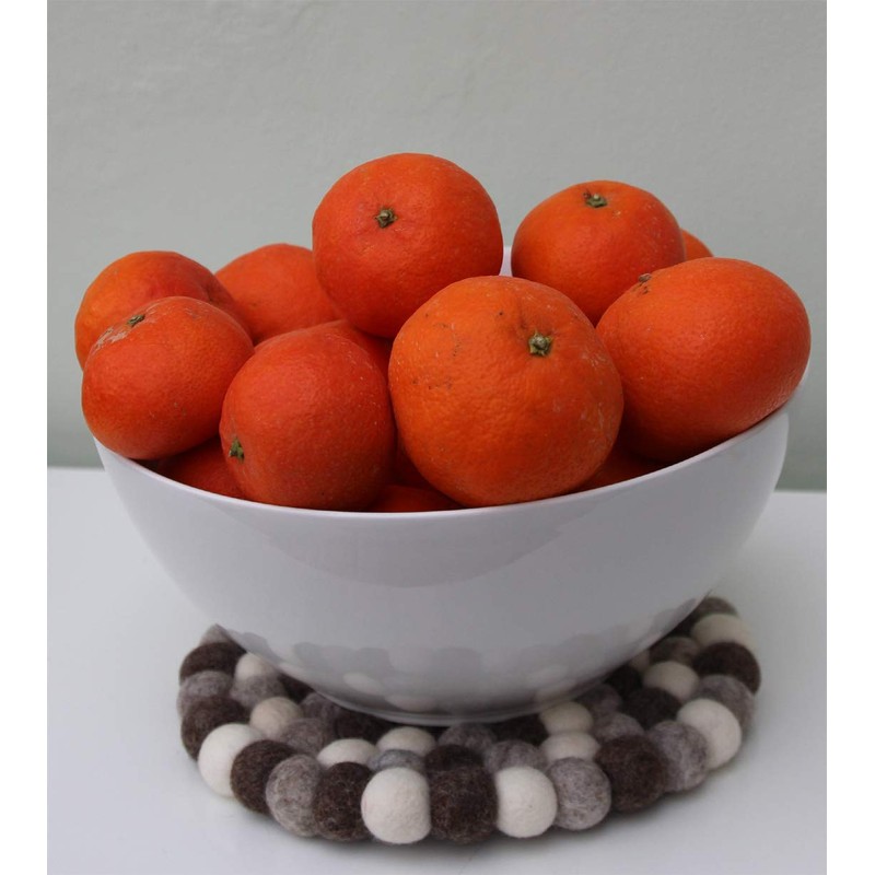 Maharanis Fairtrade Felt Coaster Pot Coaster Pebble Natural Light 22