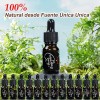 Kit De 12 Aceites Esenciales 100% Natural Para Difusor Y