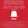 Segafredo Zanetti 10 Nespresso Compatible Capsules Brazil
