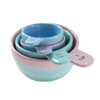 Sass & Belle Pastel Ombre Measuring Cups in Pink &