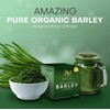 IAM Amazing Pure Organic Barley Powder Drink Barley Green Natural
