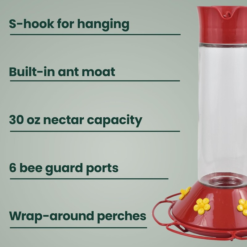 Perky-Pet 209B-1SR Glass Hummingbird Feeders for Outdoors Hanging - 30