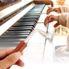 Dilwe Piano Tuning Key, L Shape Stainless Steel Plastic Handle