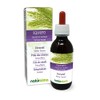 Horsetail (Equisetum arvense) herb Alcohol-Free Mother Tincture Naturalma | Liquid Extract Drops 120 ml | Food Supplement | Vegan