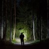 FLATEYE F-310 High Performance UNROUND Flashlight CREE LED Multi Position
