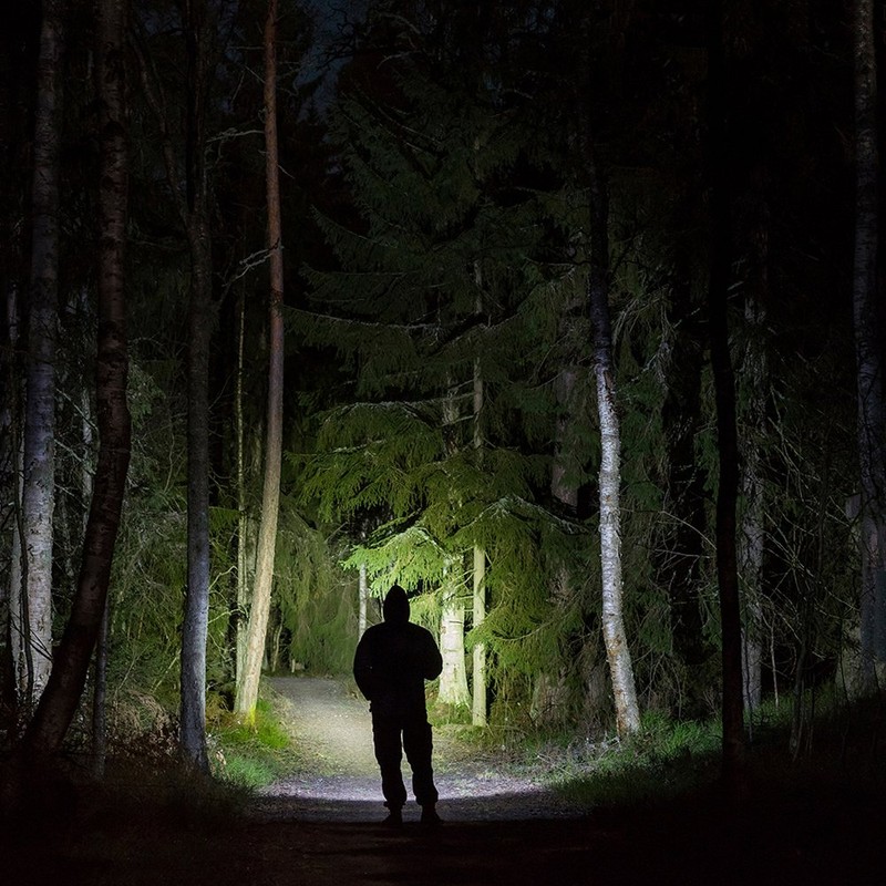 FLATEYE F-310 High Performance UNROUND Flashlight CREE LED Multi Position