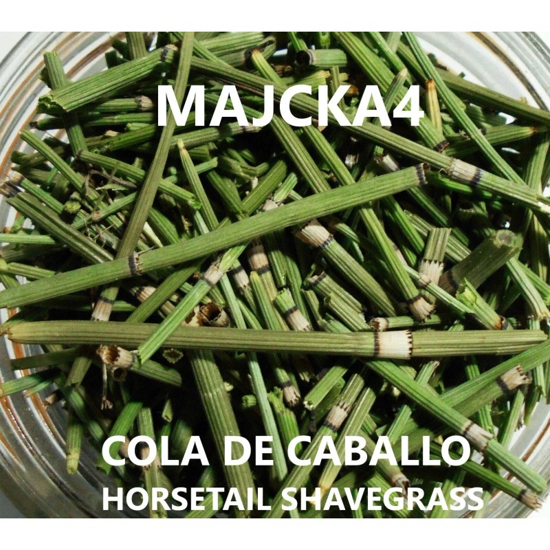 MAJCKA4 COLA DE CABALLO ½ oz. ENTERO Hierbas HORSETAIL SHAVEGRASS