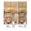 Fulighture G9 Halogen Bulbs, Clear Capsule Halogen Lamps Dimmable, 25W,