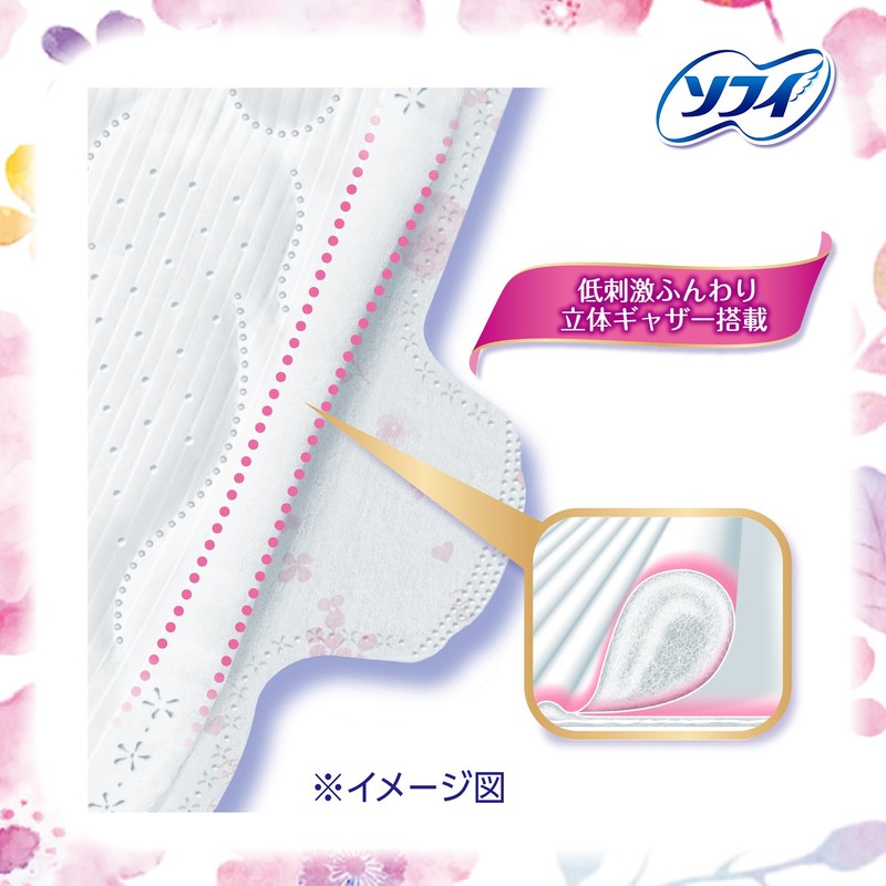 Sofi Hadaomoi, For Especially Heavy Daytime Use, 230 with Wings,