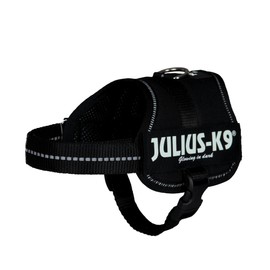 Julius-K9 162PM K9 power harness, size: mini, black