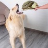 Dog Sniffing Training Toy Squeaky Plush Turtle Shape Interactive Bite