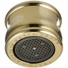 Delta Faucet RP18454PB 2.2 GPM Aerator, Polished Brass
