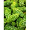 Serendipity Seeds 5 Rare Seeds Indian Bitter Gourd Momordica charantia