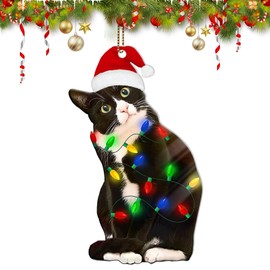 Black Cat Christmas Ornaments 2024, Cat Christmas Ornament,Black Christmas Decor Tree Hanging, Cat Christmas Ornament Gifts for Cat Lovers (A)