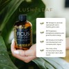 Lush Leaf | Plant Food (Ficus)