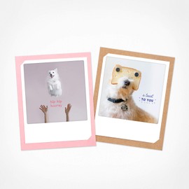 PICKMOTION Dogs | Set of 2 Folded Cards | Greeting Cards - Including envelope, Pictures of Instagram Photographers, designed in Berlin - Greeting Cards, colorful, BKK-0163-EN