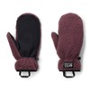 Mountain Hardwear Men's HiCamp Fleece Mitt, Blackberry, Medium