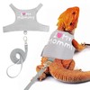 Agamino Bearded Dragon Leash and Harness, Adjustable Lizard Reptiles Harness