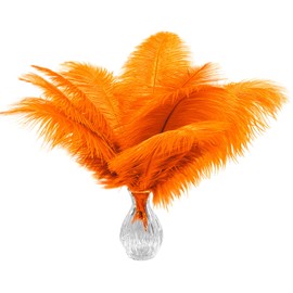 Piokio 20pcs Ostrich Feather Orange 10-12 inch (25-30cm) Bulk Feathers for Home Decoration and DIY Clothing and DIY Clothes Decoration, Gatsby Decorations