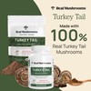 Real Mushrooms Turkey Tail Capsules – Organic Mushroom Extract for